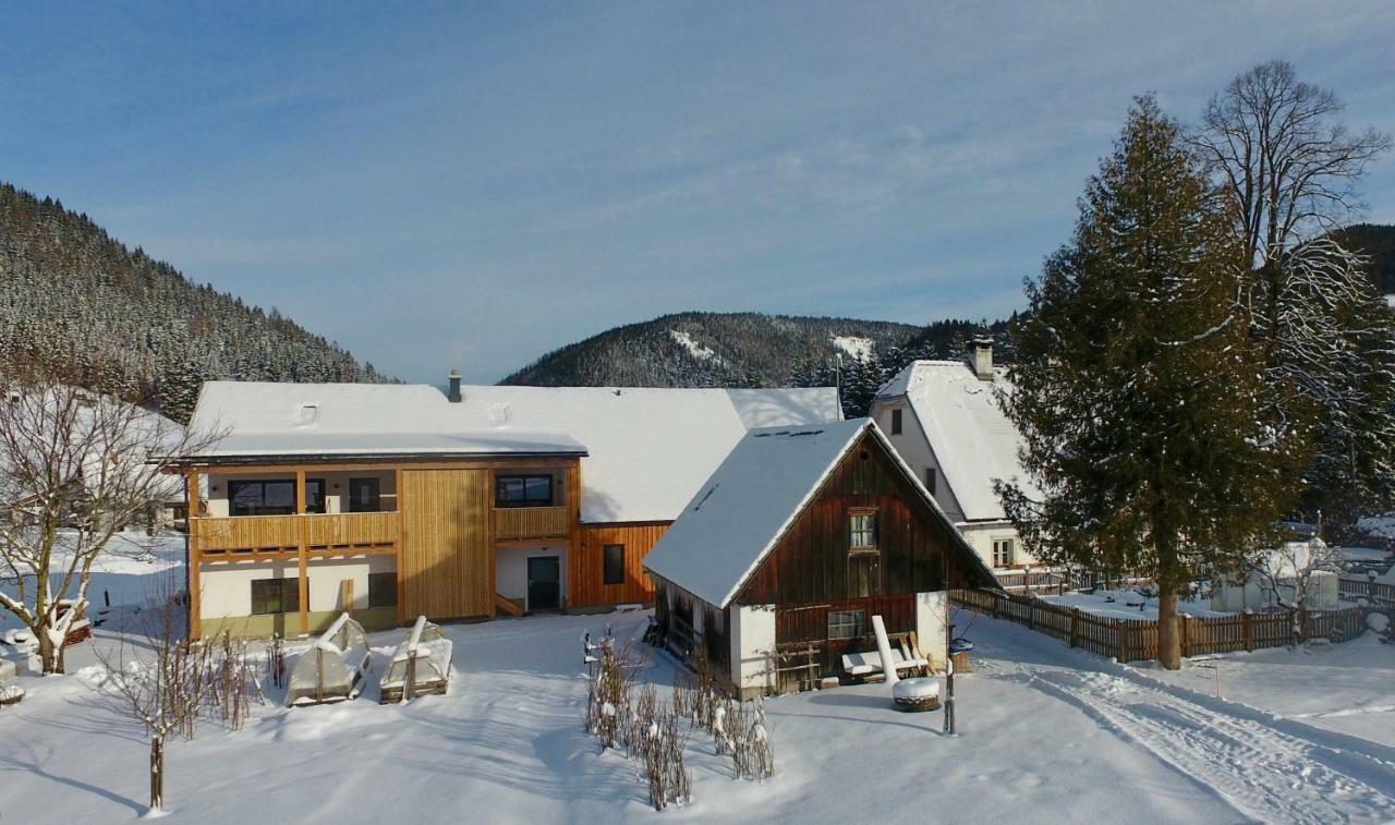 Apartment Orth Lassing (Mostviertel)